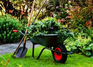kelowna-landscaping-and-lawn-mowing