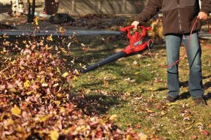 fall-lawn-cleanup