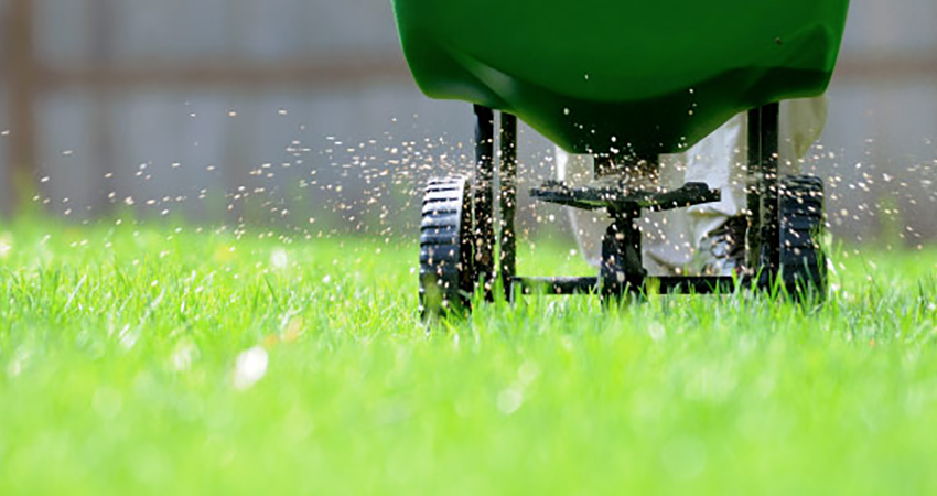 Grass-Fertilization-weed-control-kelowna