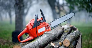 tree_removal_tools