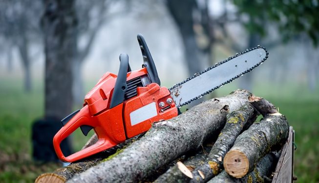 tree_removal_tools