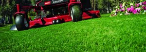 yard-maintenance-lawn-mowing-kelowna