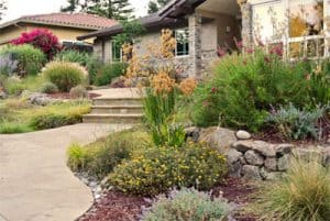 water-conserving-landscaping-ideas