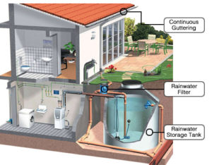 rainwater collection ideas