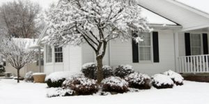 protecting landscaping during winter months