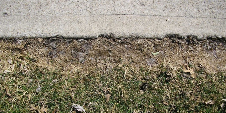 dead lawn from salt damage